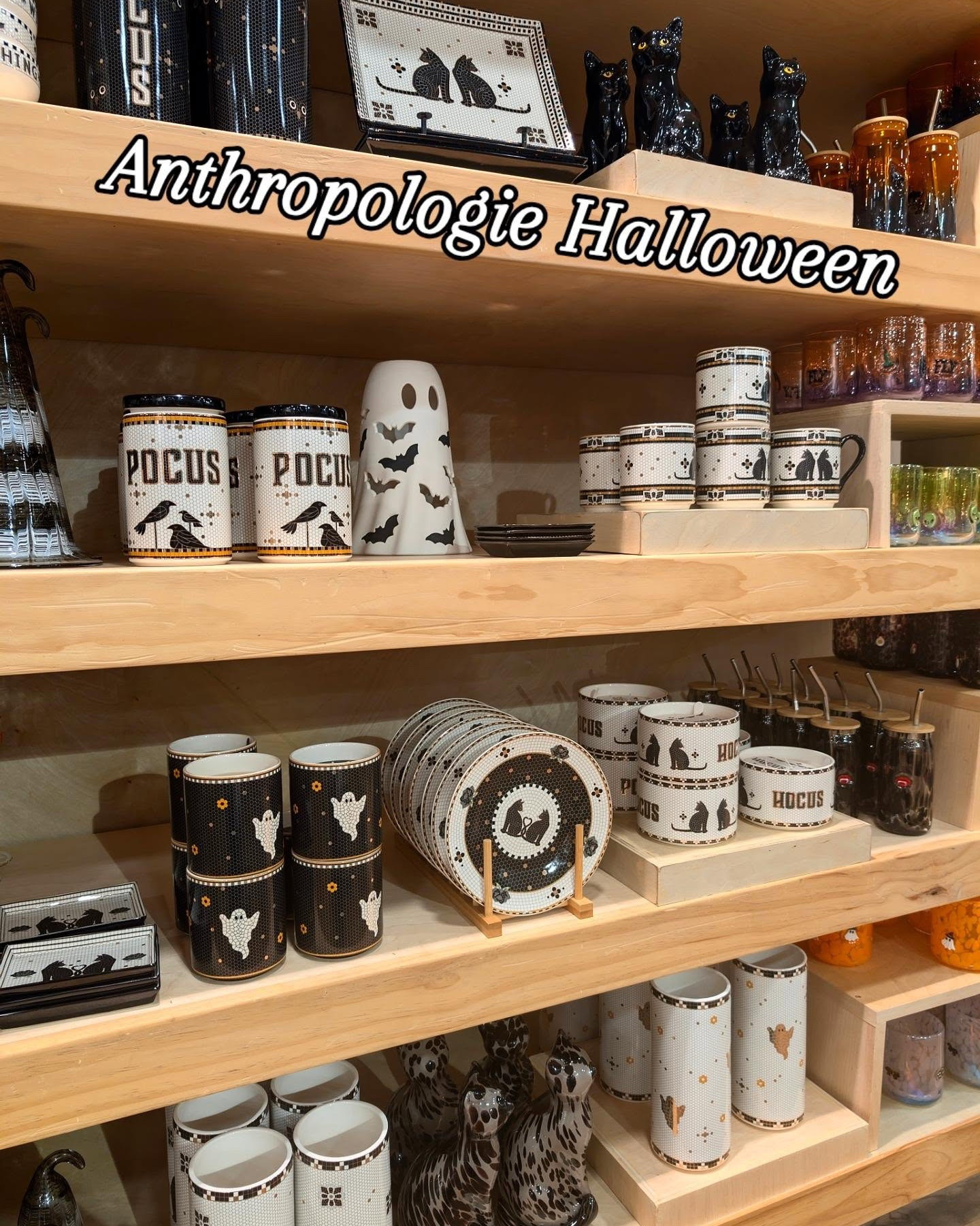 @Anthropologie  spooky collection! I know it's only July, I just love Halloween so much! The collection is huge! I'm loving all the black cat additions this year!! The tumblers and mugs are top tier this year too! Perfect for a dinner or Halloween party 

Black cat, cute ghost, icon glasses, Halloween spirit, haunted house, horror, vampire, skull, jack-o'-lantern, hocus pocus, Halloween table scape, kitchenware, glassware, Halloween mugs, goth girl, mall shopping, haunted core, pumpkin season, october, Halloween summer

#LTKvlog #LTKSeasonal #LTKHome
