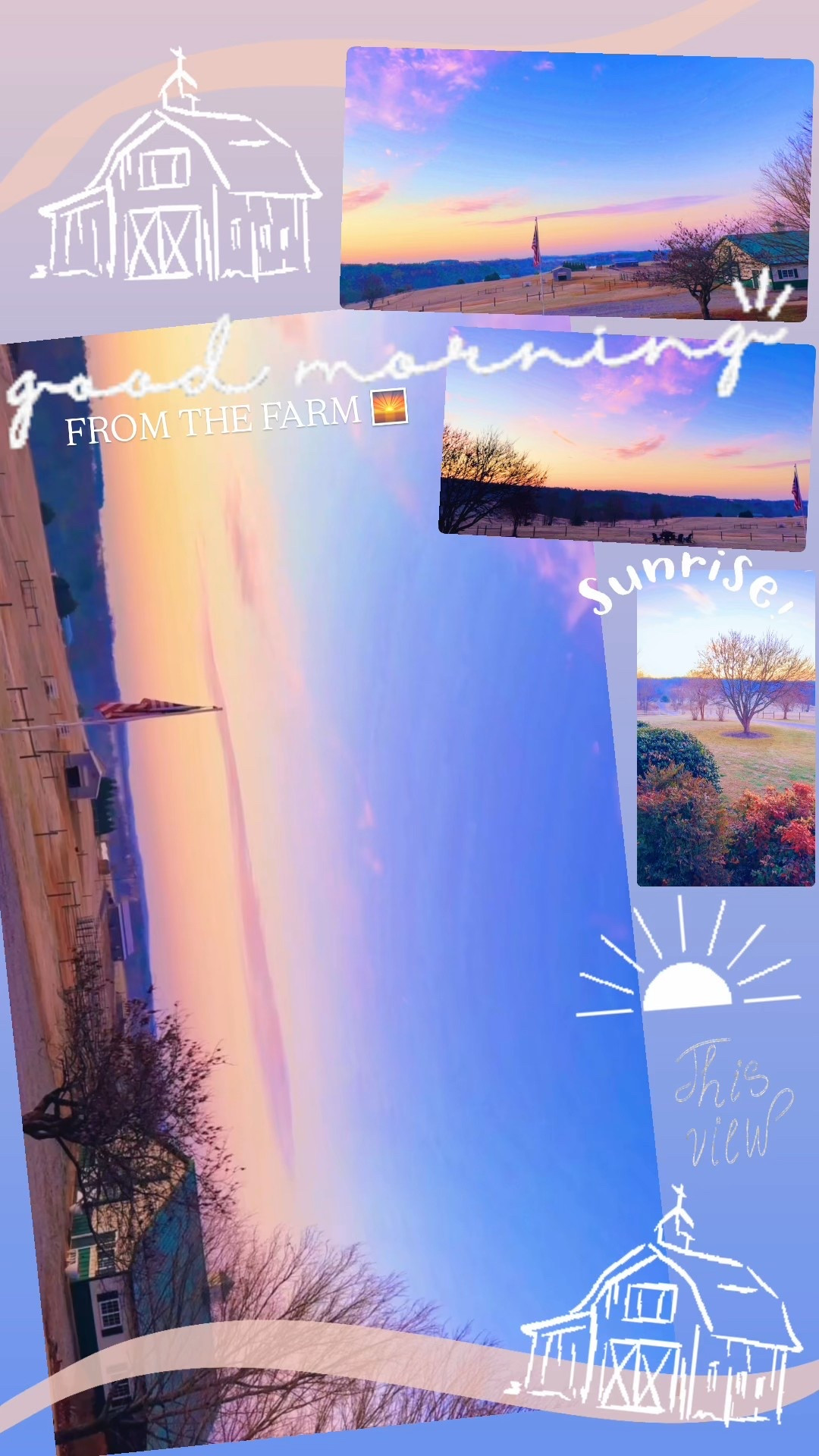 Good morning from the farm 🌅