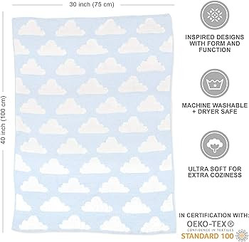 Living Textiles Blue Clouds Chenille Soft Baby Blanket Reversible Premium Cozy Fabric for Best Co... | Amazon (US)