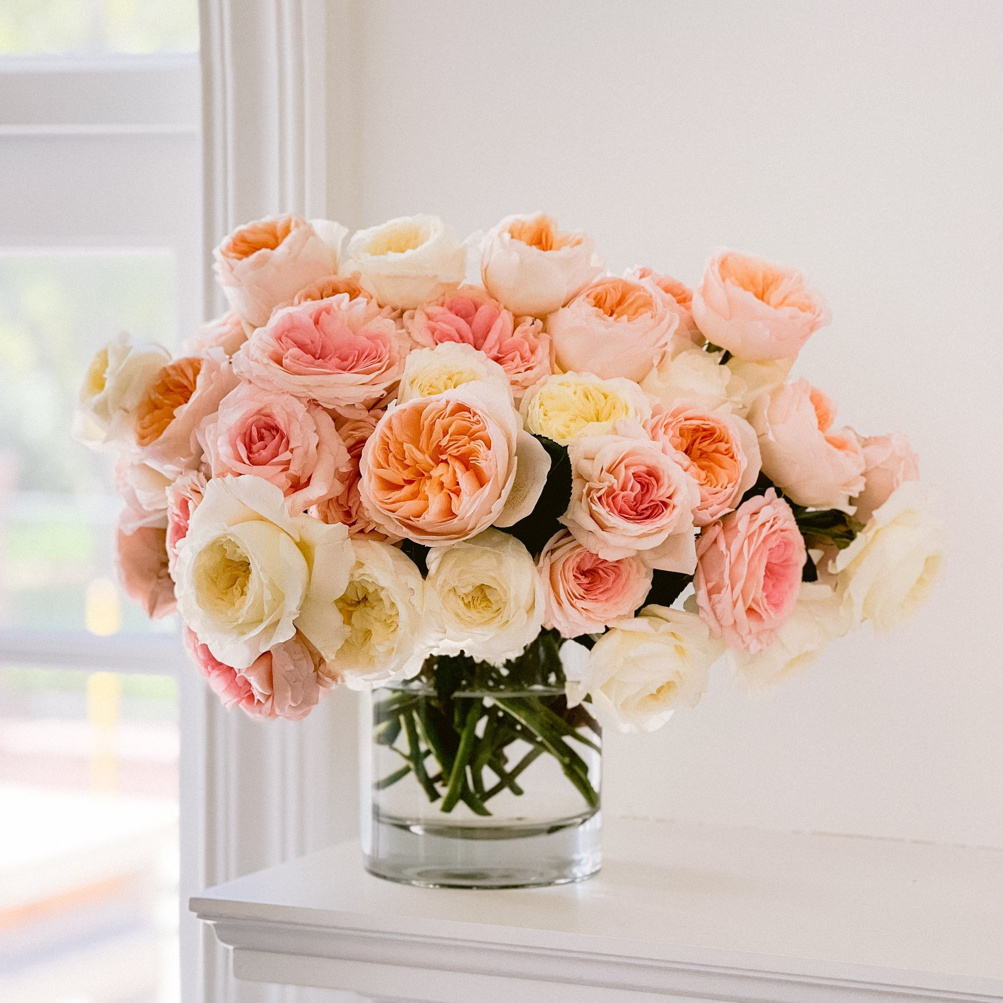 Jody | grace rose farm