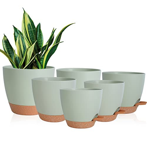 Vanslogreen Planters for Indoor Plants, 8/7/6.5/6/5.5/5 Inch Self Watering Planters with Drainage Hole, Plastic Planters Flower Pots for Indoor Outdoor Plants (Green) | Amazon (US)
