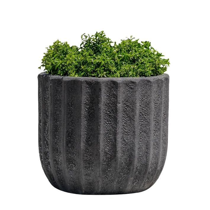 Maris Planter | Williams-Sonoma