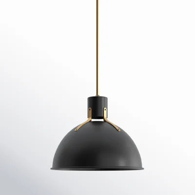 Clendon 1 - Light Single Dome Pendant | Wayfair North America