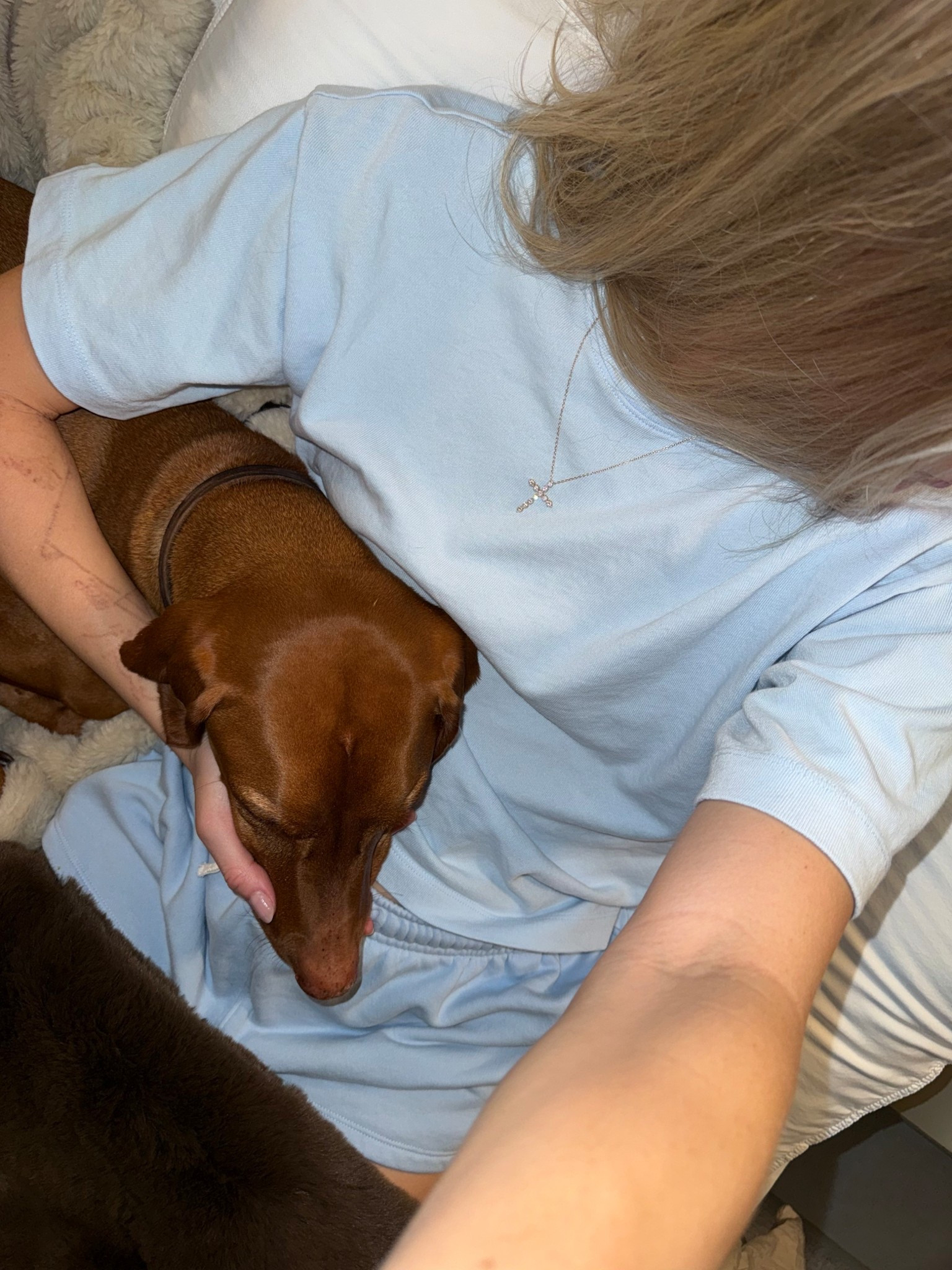 Blues 🩵🦋🫐🦕🫧