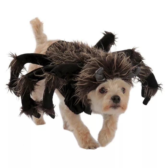 Princess Paradise Tarantula Dog and Cat Costume - Brown | Target