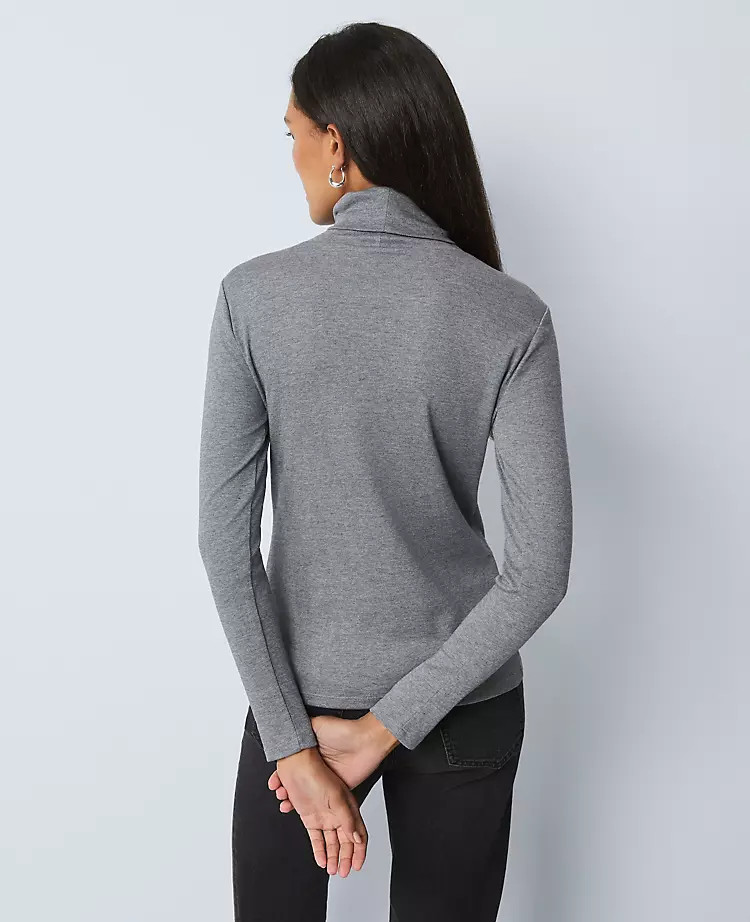 Weekend Collection Turtleneck Top | Ann Taylor