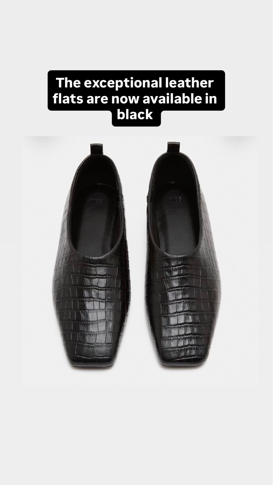 The flats of the season x