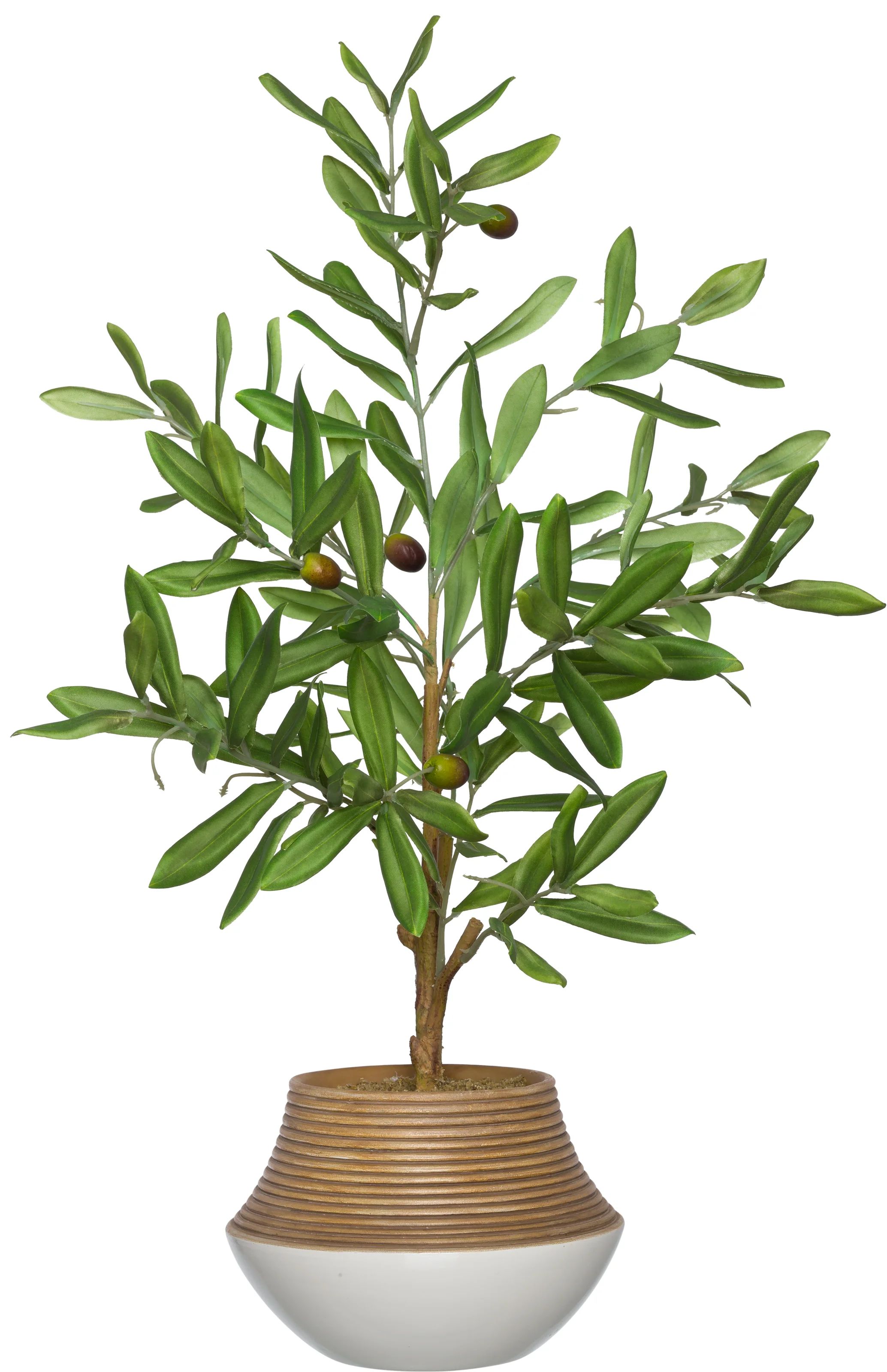 Artificial Olive Tree Tree in Planter | Wayfair North America