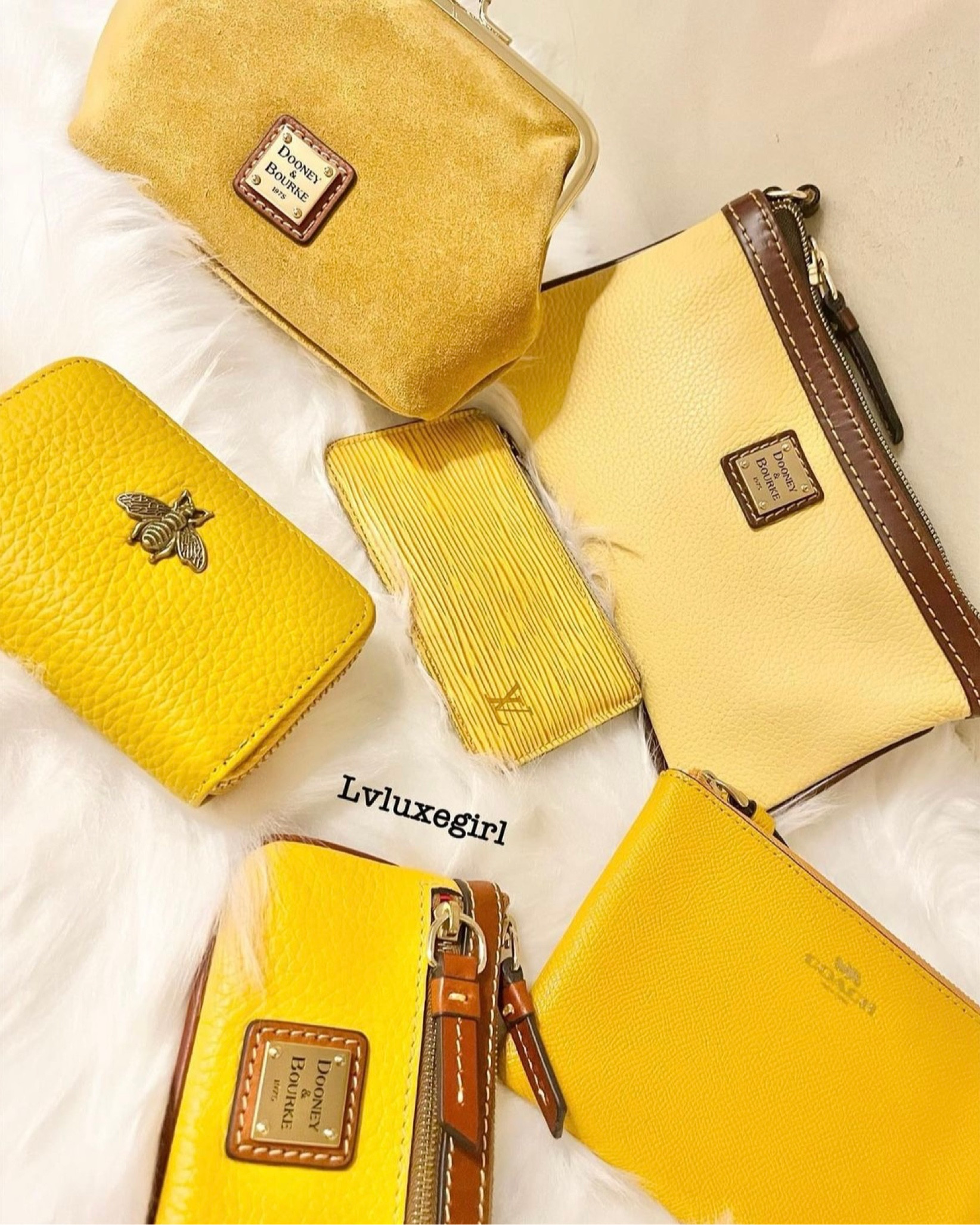Handbag Accessories: Coach Dooney & Bourke Louis Vuitton beautiful colors wallets wristlets coin pouch and card cases

#LTKHoliday #LTKitbag #LTKGiftGuide