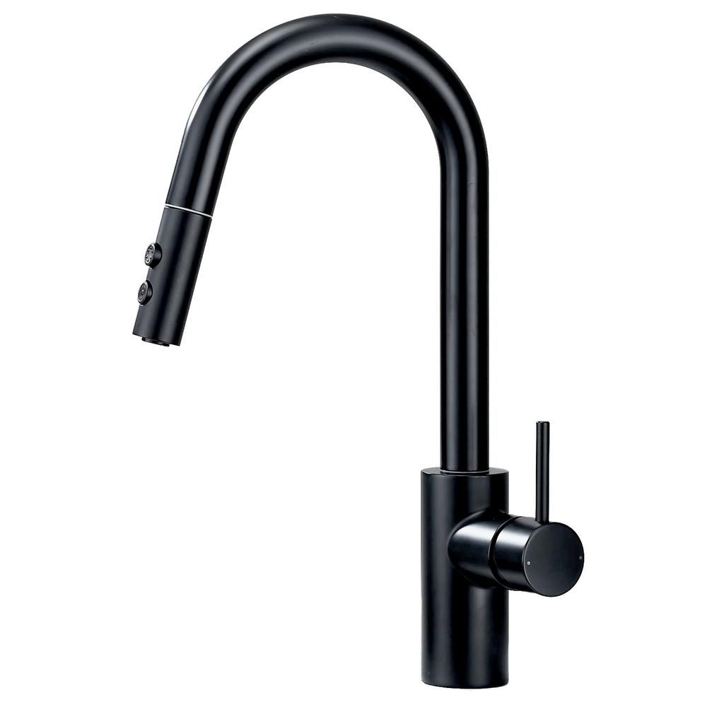 Single-Handle Pull-Down Sprayer Kitchen Faucet with 2-Function Sprayhead in Matte Black | The Home Depot