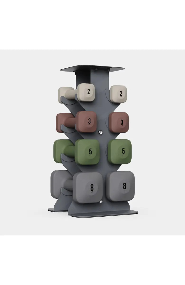 SafeGrip Dumbbells Lower Set with Dark Rack - 2, 3, 5, 8lbs | Nordstrom