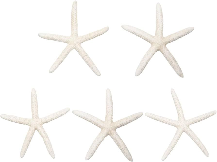 Jangostor 5 PCS Starfish 4-6 Inch Ocean Beach Starfish Natural Colorful Seashells Starfish Perfec... | Amazon (US)