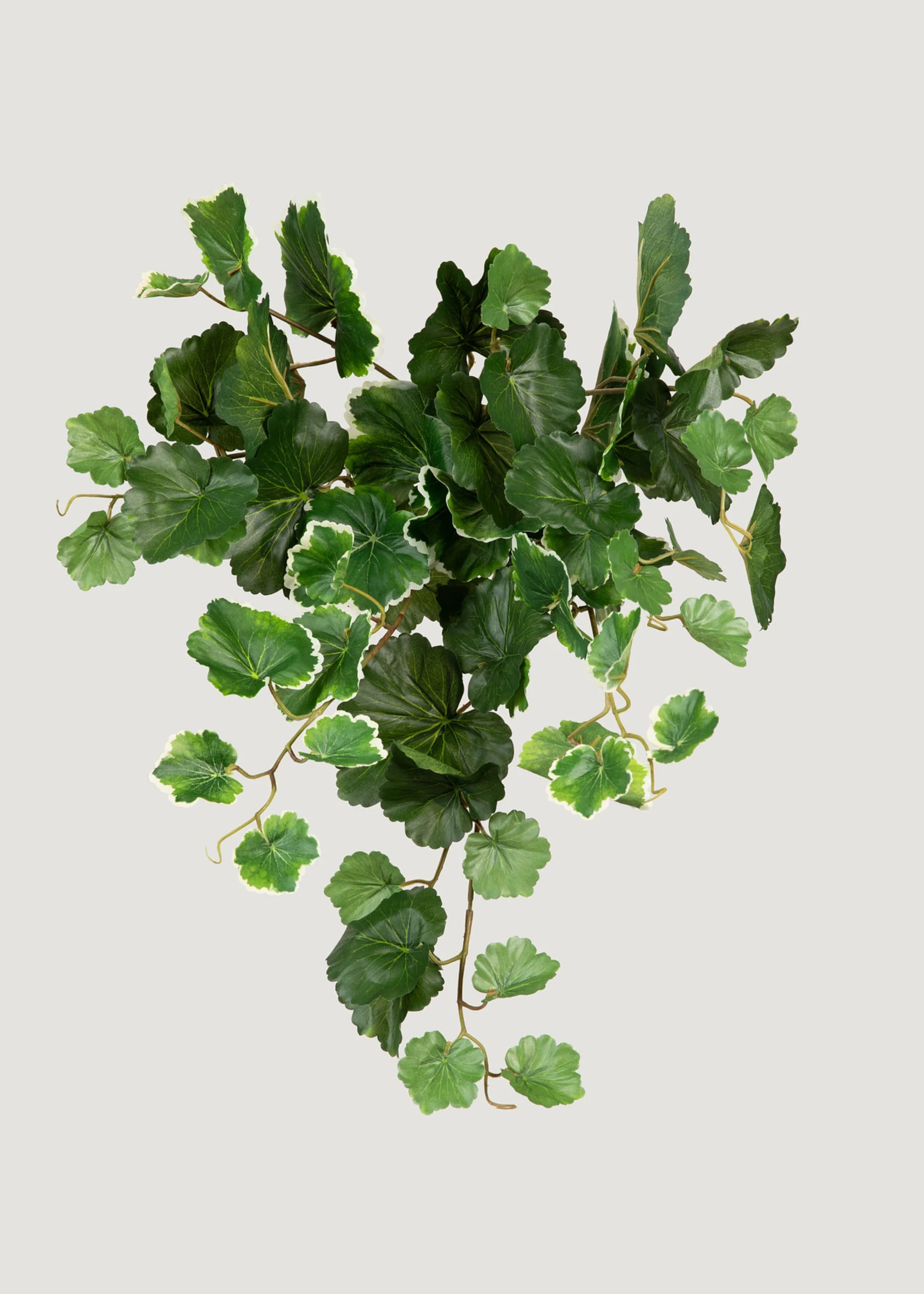 Hanging Geranium Leaf Plant | UV Resistant Fake Plants | Afloral | Afloral