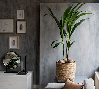 Handwoven Bohemian Cylinder Indoor/Outdoor Planters | Pottery Barn (US)