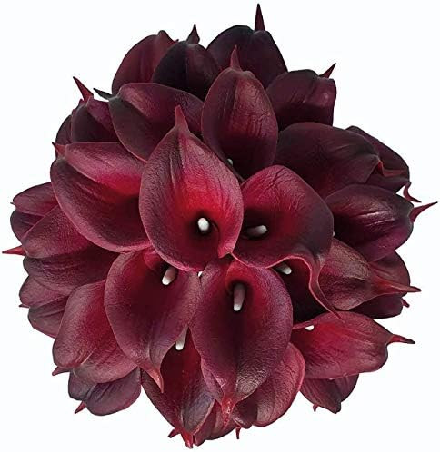 Floral Kingdom 20 Pack 14" Calla Lily Artificial Flowers – Real Touch Burgundy Latex Flowers fo... | Amazon (US)