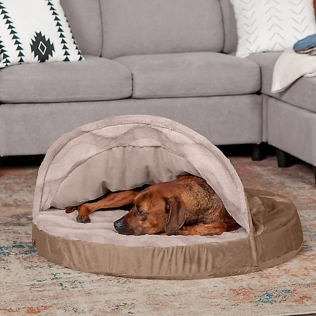 FurHaven Wave Fur & Velvet Memory Foam Snuggery Dog & Cat Bed | Chewy.com