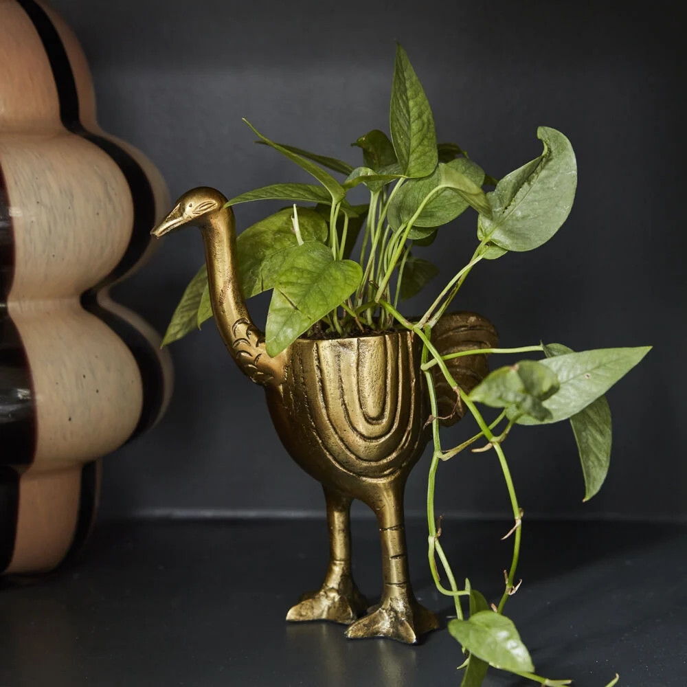 Ostrich Pot Set of 2 | Paynes Gray Inc