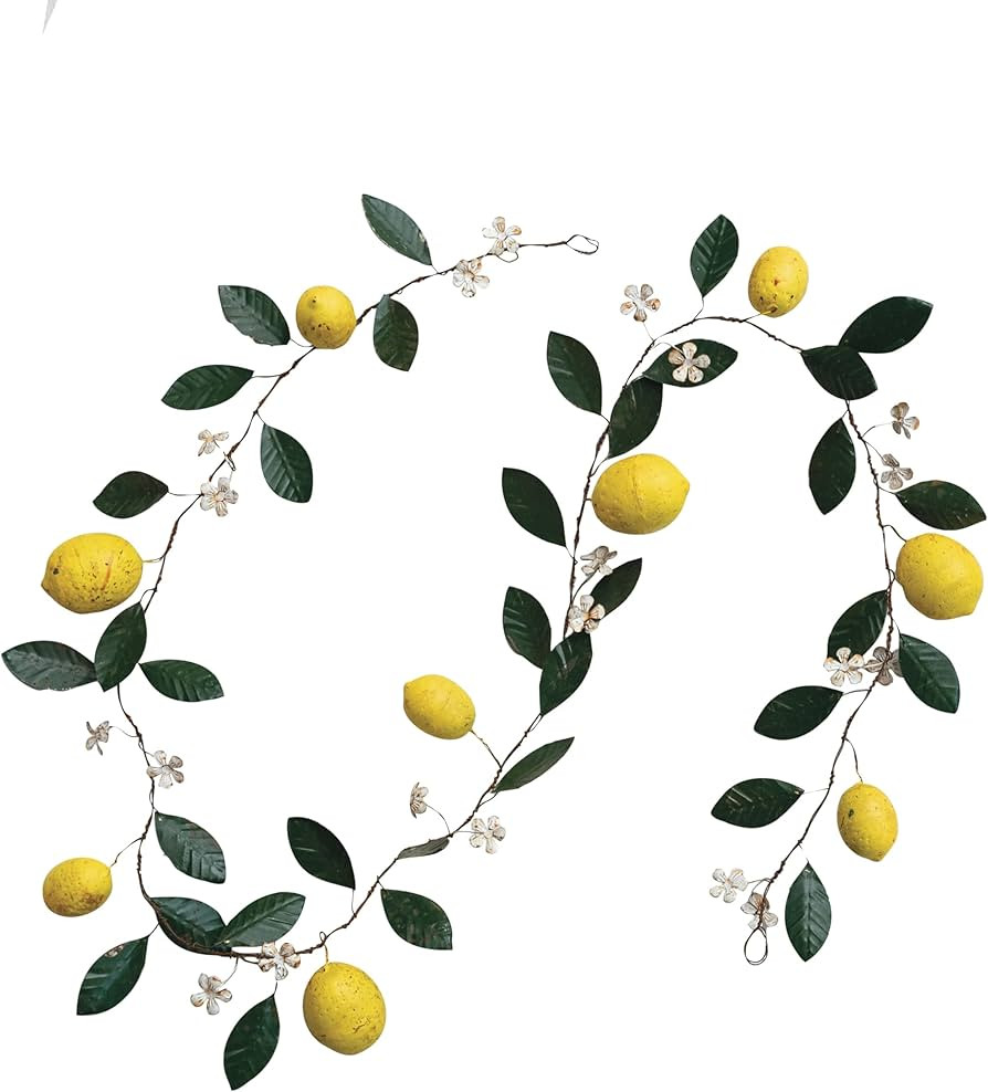 Creative Co-Op Metal Garland with Lemons and Leaves, Multicolor | Amazon (US)
