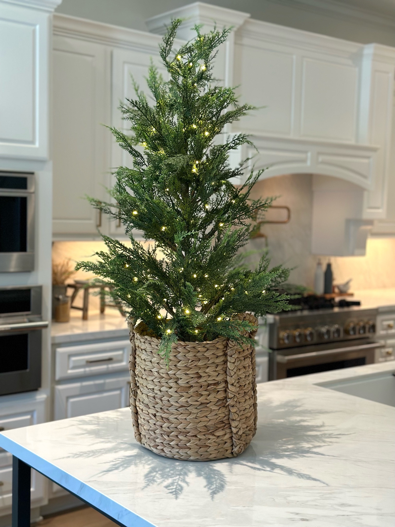 Showing availability for pick up again!🌲


Christmas tree
My Texas house
Walmart finds
Viral Walmart tree#LTKhome #LTKHoliday

#LTKSeasonal