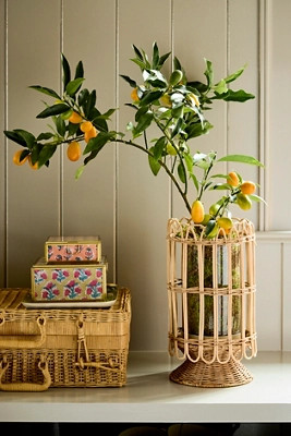 Rattan Caged Vase | Terrain