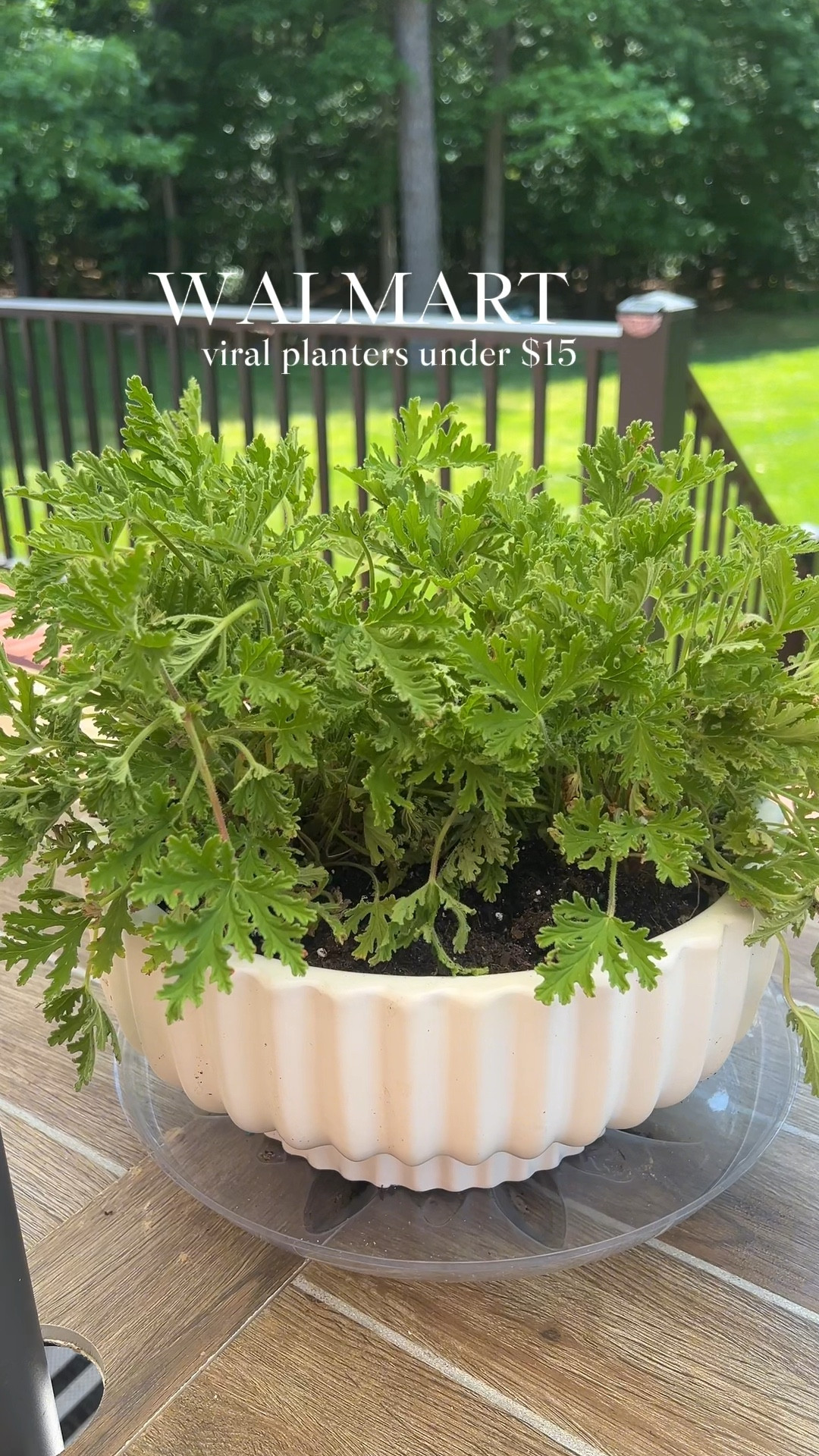 Favorite planters for indoor and outdoor at Walmart! Perfect for outdoor plants, or indoor decor all under $15!   

#LTKhome #LTKSeasonal #LTKfindsunder50