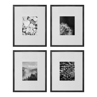 16" x 20" Matted to 8" x 10" Black Gallery Wall Picture Frame (Set of 4) | The Home Depot