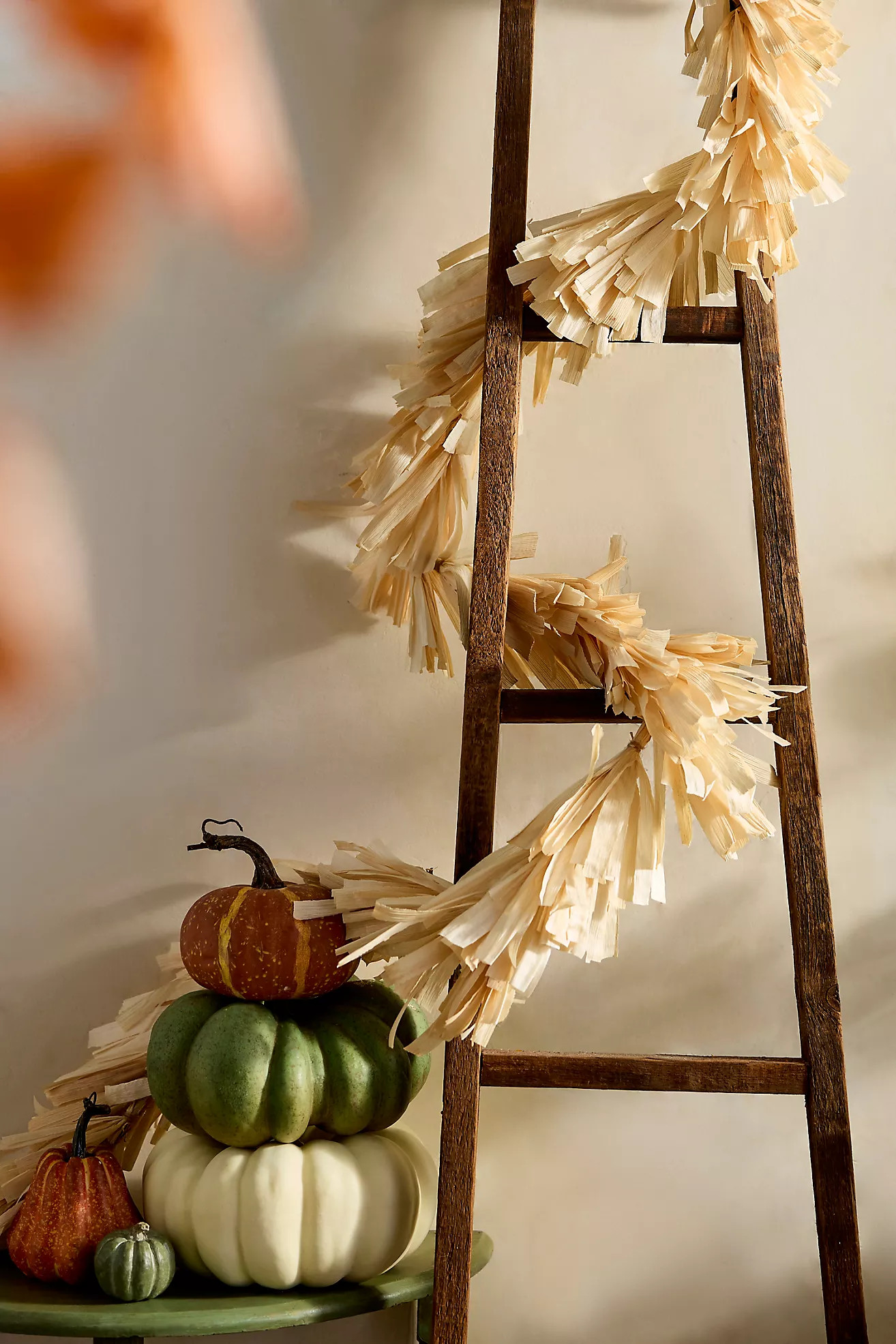 Dried Corn Husk Garland | Anthropologie (US)