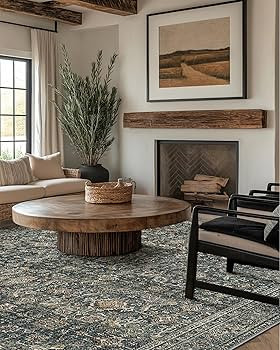 8X10 Area Rugs Machine Washable Rugs for Living Room, Vintage Boho Large Rugs for Bedroom Dining ... | Amazon (US)
