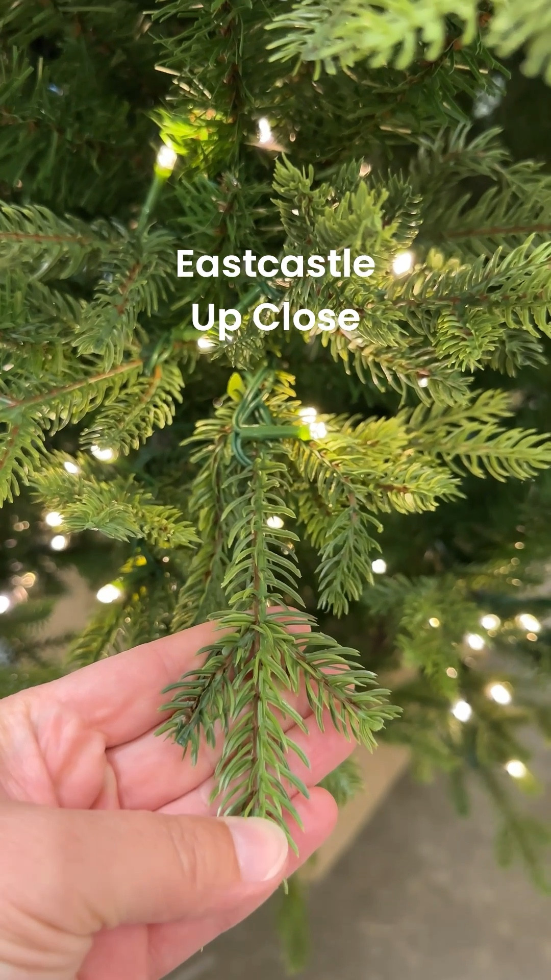 Eastcastle Christmas Tree up close. This might be the best tree out there...

#LTKHoliday #LTKSeasonal #LTKHome