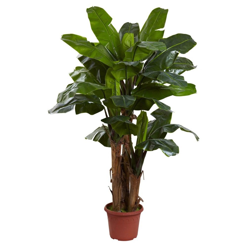 7ft Indoor/Outdoor UV Resistant Full Triple Stalk Banana Tree - Nearly Natural | Target