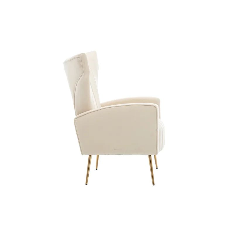 Citium 27.6'' Wide Velvet Wingback Chair | Wayfair North America