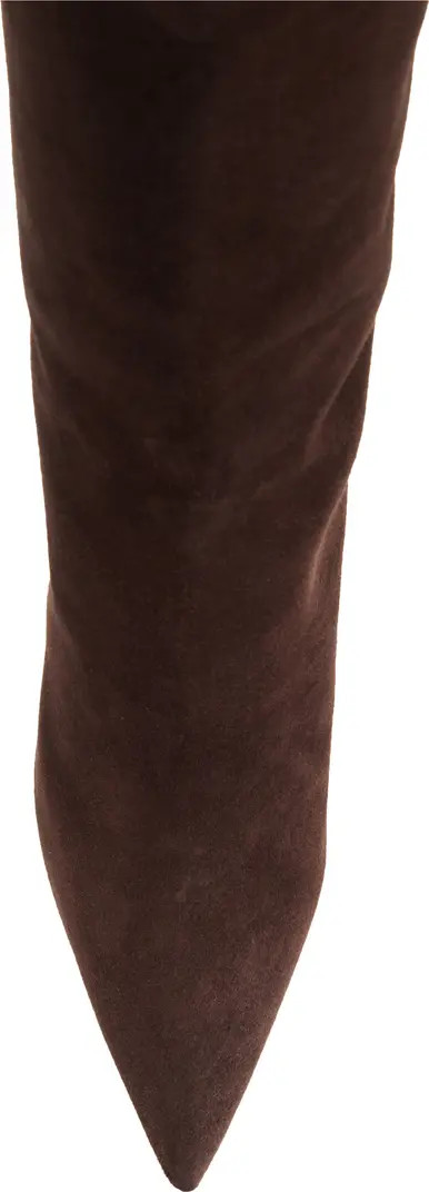 Miralone Pointed Toe Tall Boot (Women) | Nordstrom