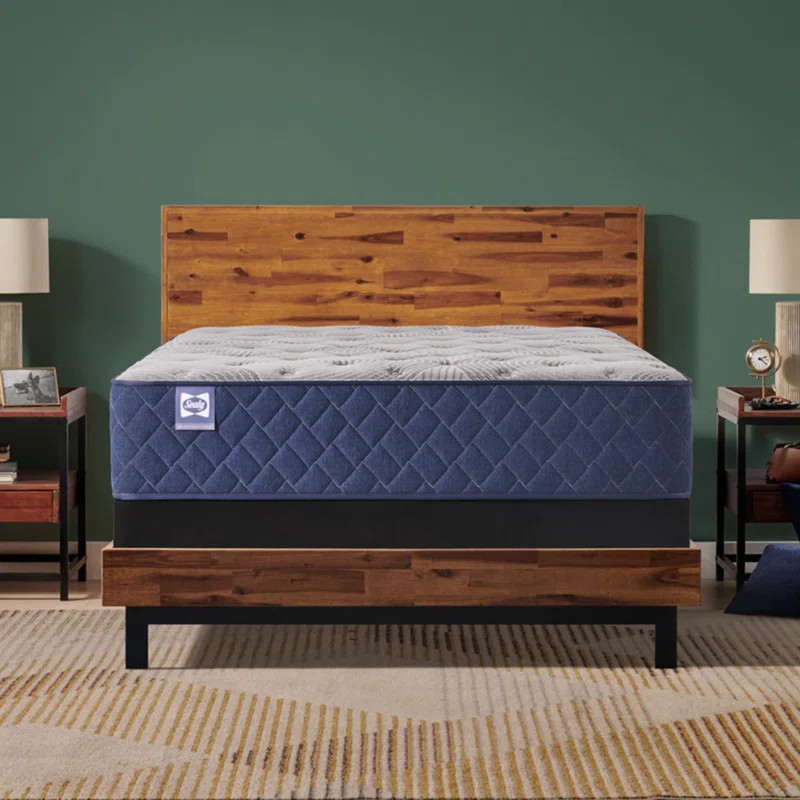 Sealy Dudley Chase 14.5" Medium Tight Top Innerspring Mattress | Wayfair North America