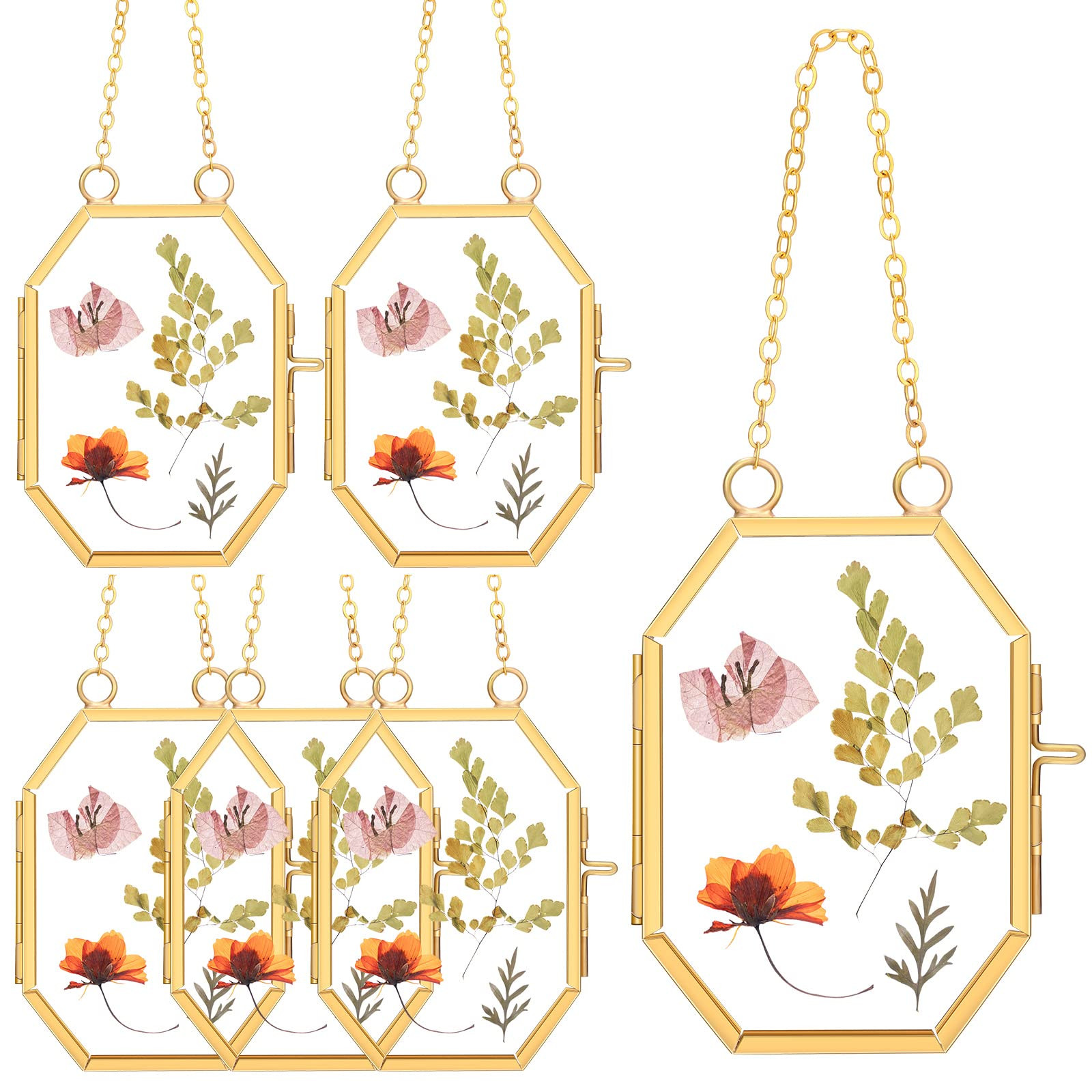 Marsui Set of 6 Double Glass Frame for Pressed Flowers 2.5 x 3.5 Inch Small Hanging Floating Glass Photo Octagon Frames for Dried Flower Picture Artwork Plant Specimen(Gold) | Amazon (US)