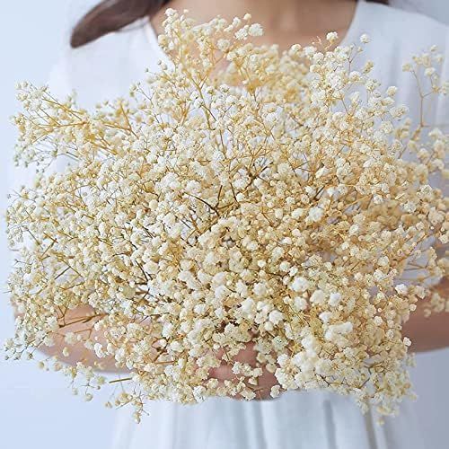 Dried-Flowers-Babys-Breath-Bouquet-17.2 inch 1500+ Ivory White Flowers, Natural Gypsophila Branches  | Amazon (US)