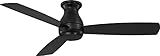 Fanimation Hugh Indoor/Outdoor Ceiling Fan with Blades and LED Light Kit 52 inch - Black | Amazon (US)