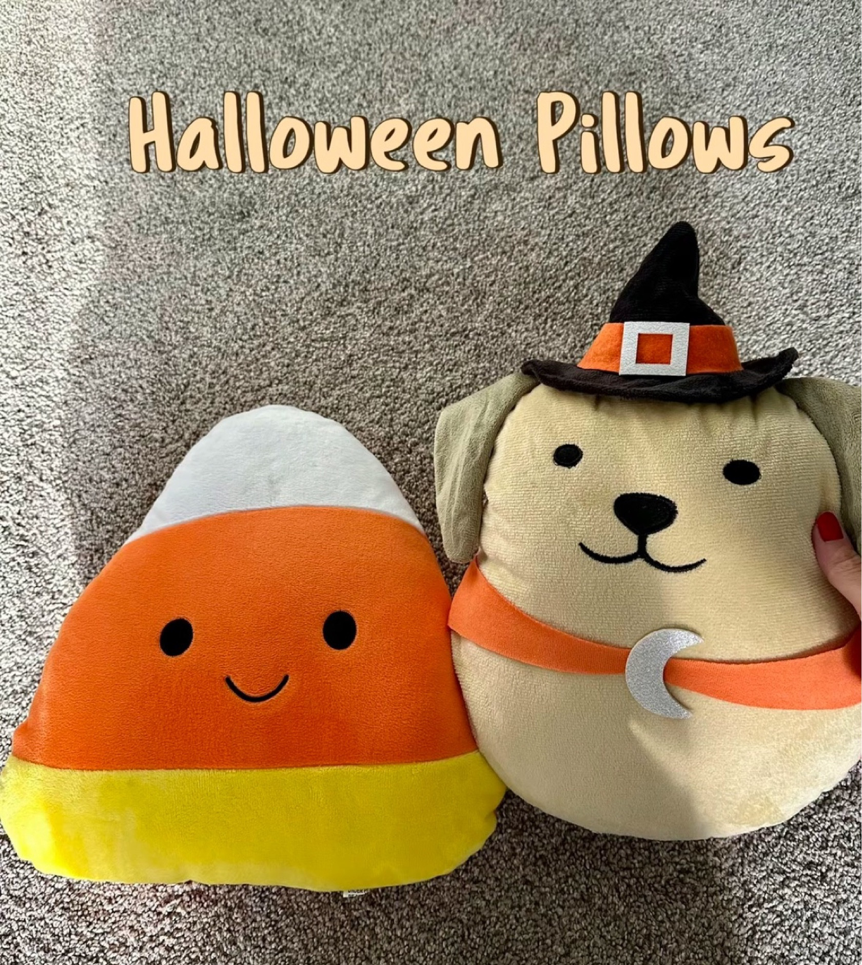 Halloween pillows for only $5!  @target @style @halloween @home @decor #pillows #halloween #style #decor 

#LTKHome #LTKFindsUnder50 #LTKHalloween