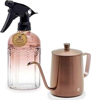 OFFIDIX Watering Can for Indoor Plants Long Spout Metal Stainless Steel 21 oz Small Watering Can ... | Amazon (US)