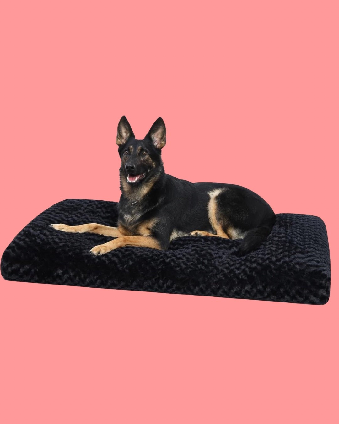 Washable Dog Bed

#ltkpet #pets #dogbed

#LTKHome