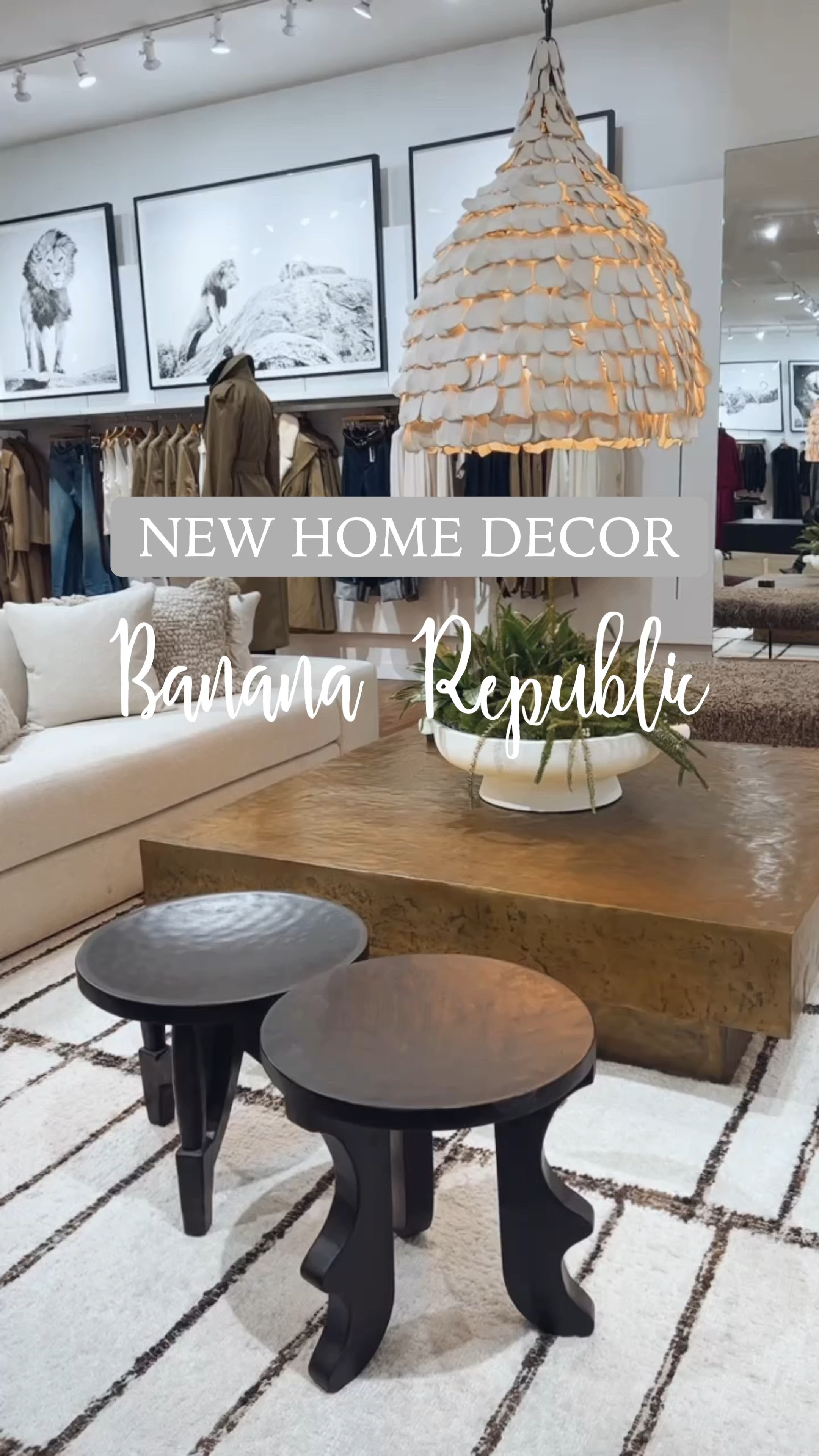 womens lowtop jordans