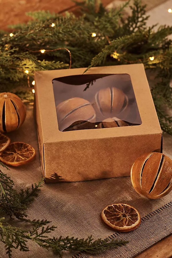 Dried Sliced Oranges By Terrain in Assorted | Anthropologie (US)