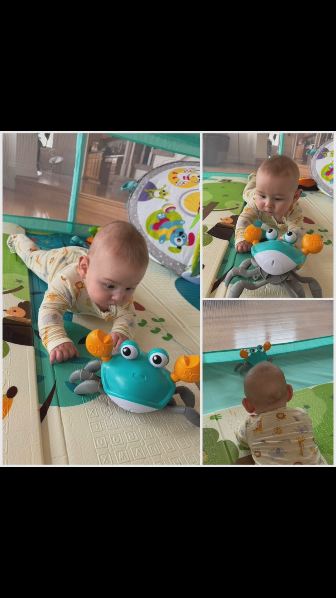 Nathan’s New Favorite Toy 🦀✨
Black Friday Amazon Find!

I had to share this because Nathan is obsessed! We grabbed this adorable crawling crab toy on the Amazon Black Friday sale and it’s already a total win. It lights up, plays music, and crawls away so fast — perfect for keeping him entertained (and giving mama a minute to sip her coffee 😂).

It’s great for tummy time, crawling practice, or honestly just letting them chase it around! If you need a fun little gift or a boredom-buster, this one is so worth it — and it’s on sale today! 🙌

Linking it on LTK for you!
#LTKBaby #LTKHoliday #AmazonFinds #BlackFridayDeals #BabyMustHaves #TummyTimeToys


#LTKGiftGuide #LTKBaby #LTKBump