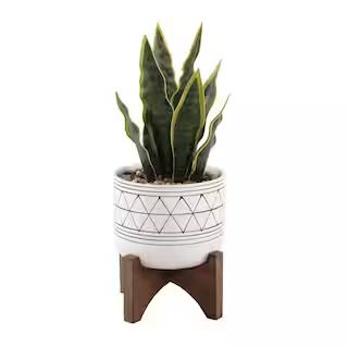 12 in. Artificial Faux Snake Plant in Black GEO Paint White Ceramic Pot on Wood Stand | The Home Depot
