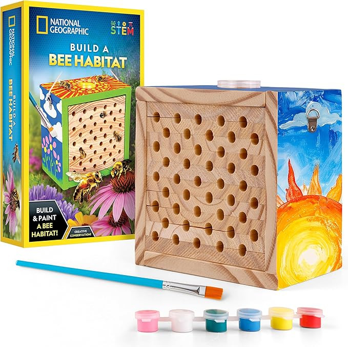 National Geographic Build a Bee Habitat Craft Kit for Kids – Paint & Build a House for Mason Be... | Amazon (US)
