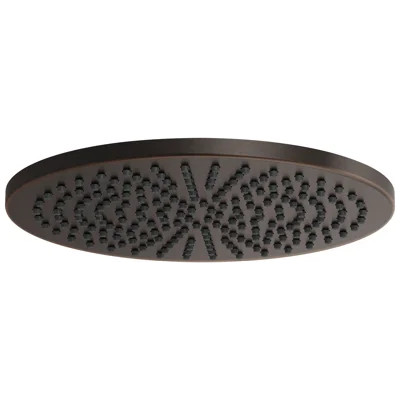 Essential™ Rain Adjustable Shower Head | Perigold