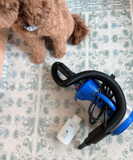 The best dog shampoo and blow dryer for doodles! Seriously cuts the dry time in half and makes him fluffy like the groomers! 

#LTKFindsUnder100 #LTKFindsUnder50 #LTKHome
