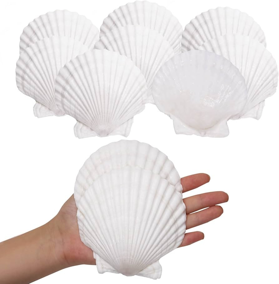 Giftvest 10PCS Sea Shells White Scallop Shells for Crafts Baking Cooking Serving Food, 4-5 inch L... | Amazon (US)