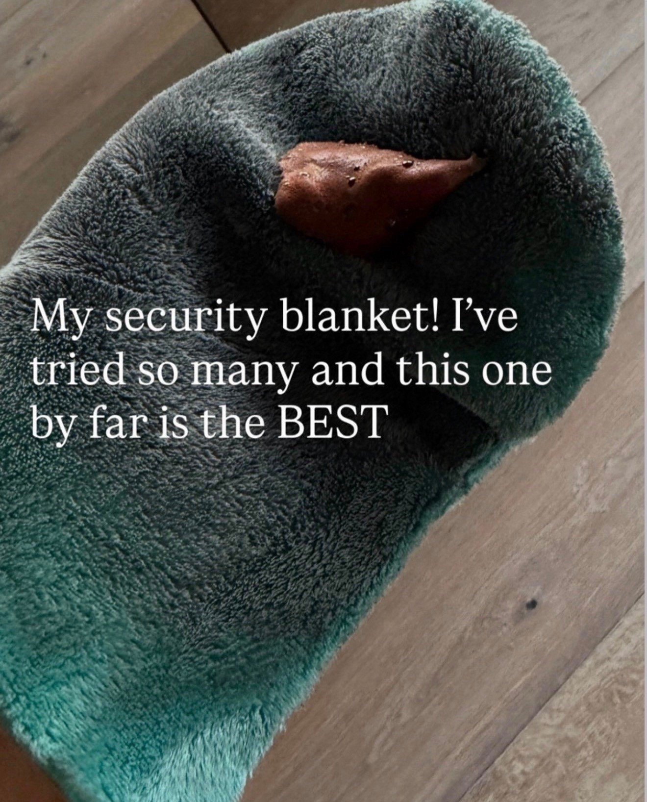 9 things worth packing on your next vacation… BTW when I’m feeling insecure slide 9 saves the day! 

#LTKBeauty #LTKSeasonal #LTKTravel