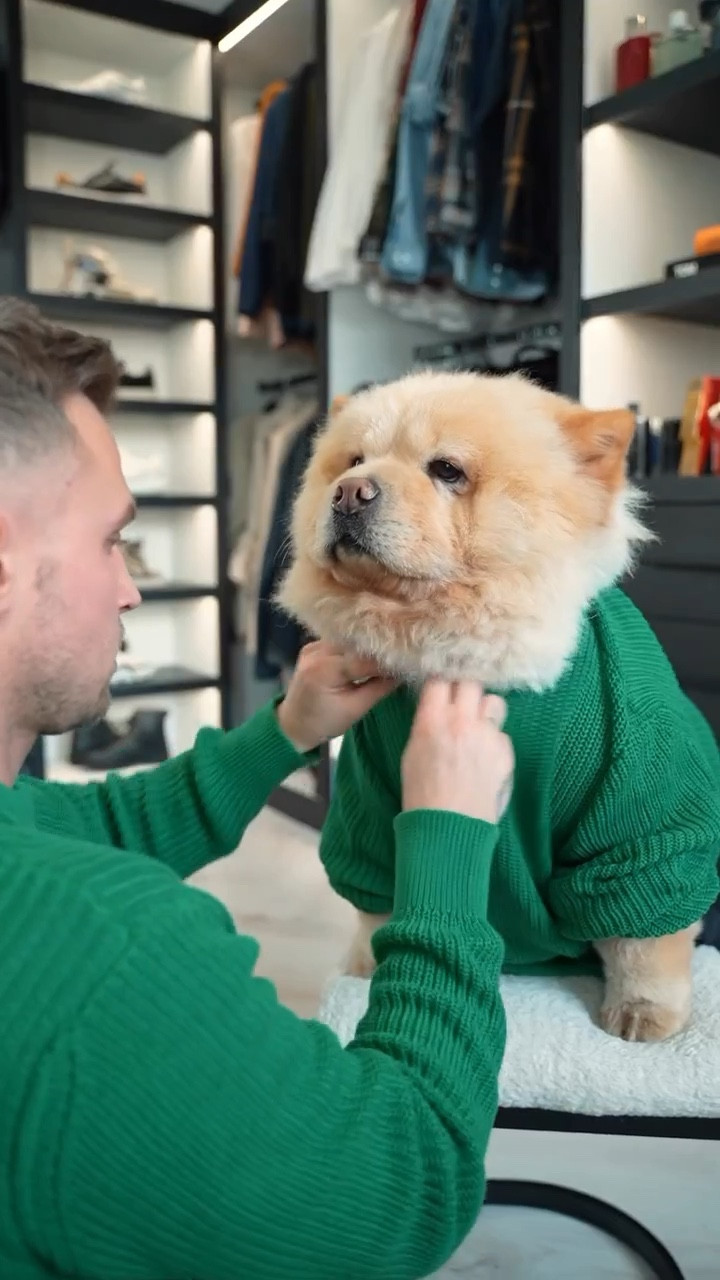 Green jumper, men’s autumn fashion, autumn winter outfit, cream puffer coat, men’s coat, matching outfits, Abercrombie & Fitch, GRWM, autumn outfit, transitional style 

#LTKeurope #LTKSeasonal #LTKstyletip