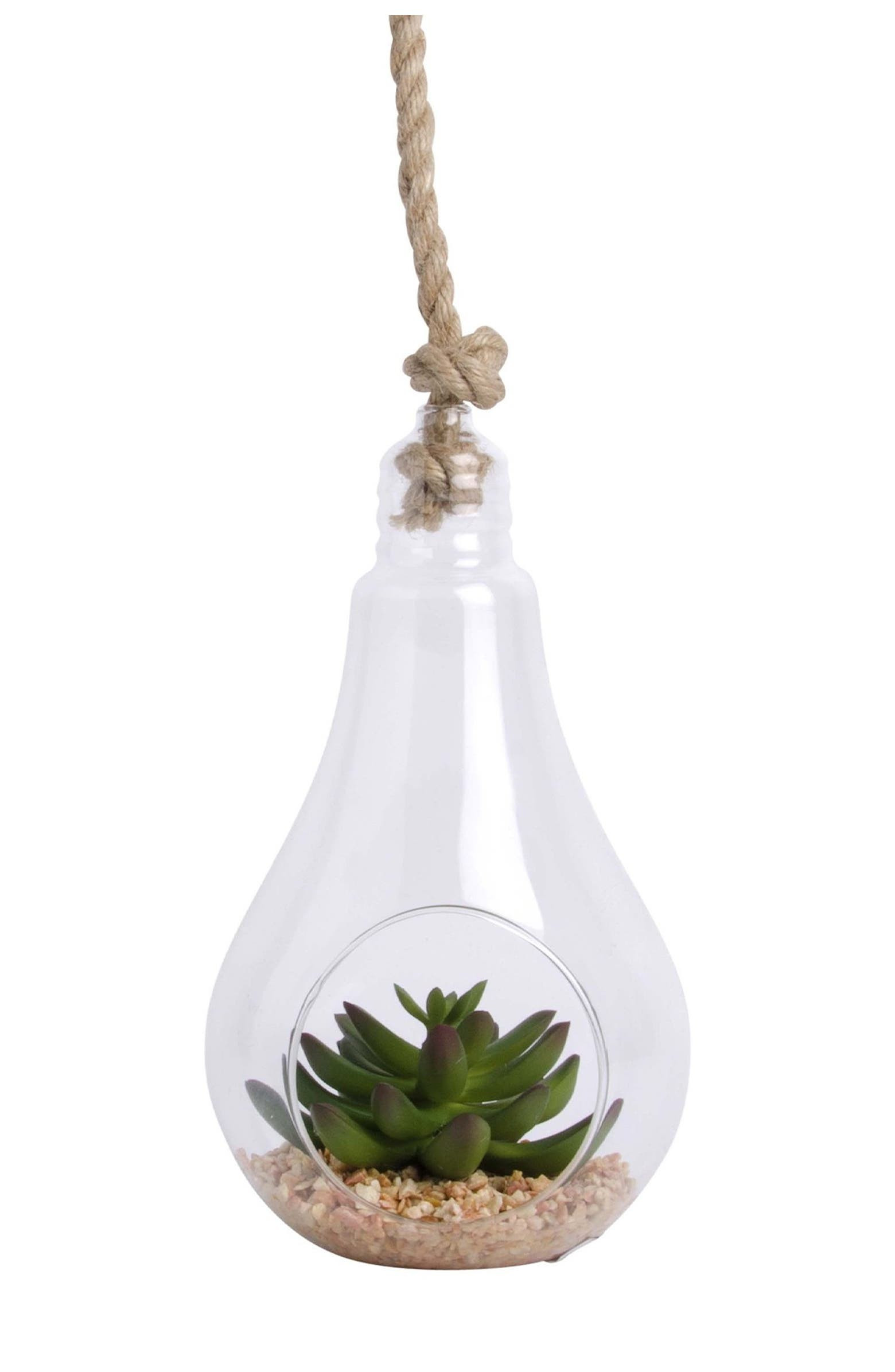 9" H Glass Bulb with Rope & Faux Succulents Included In Gift Box | Nordstrom Rack